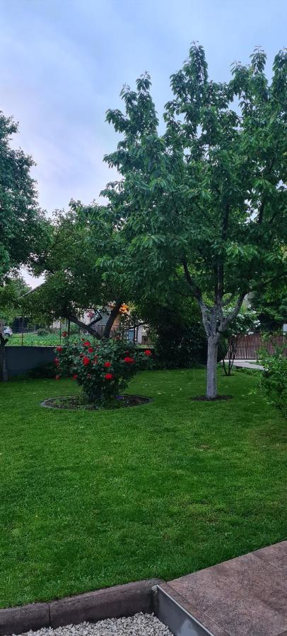 Apartamento Prenociste Dubravka Livno Exterior foto